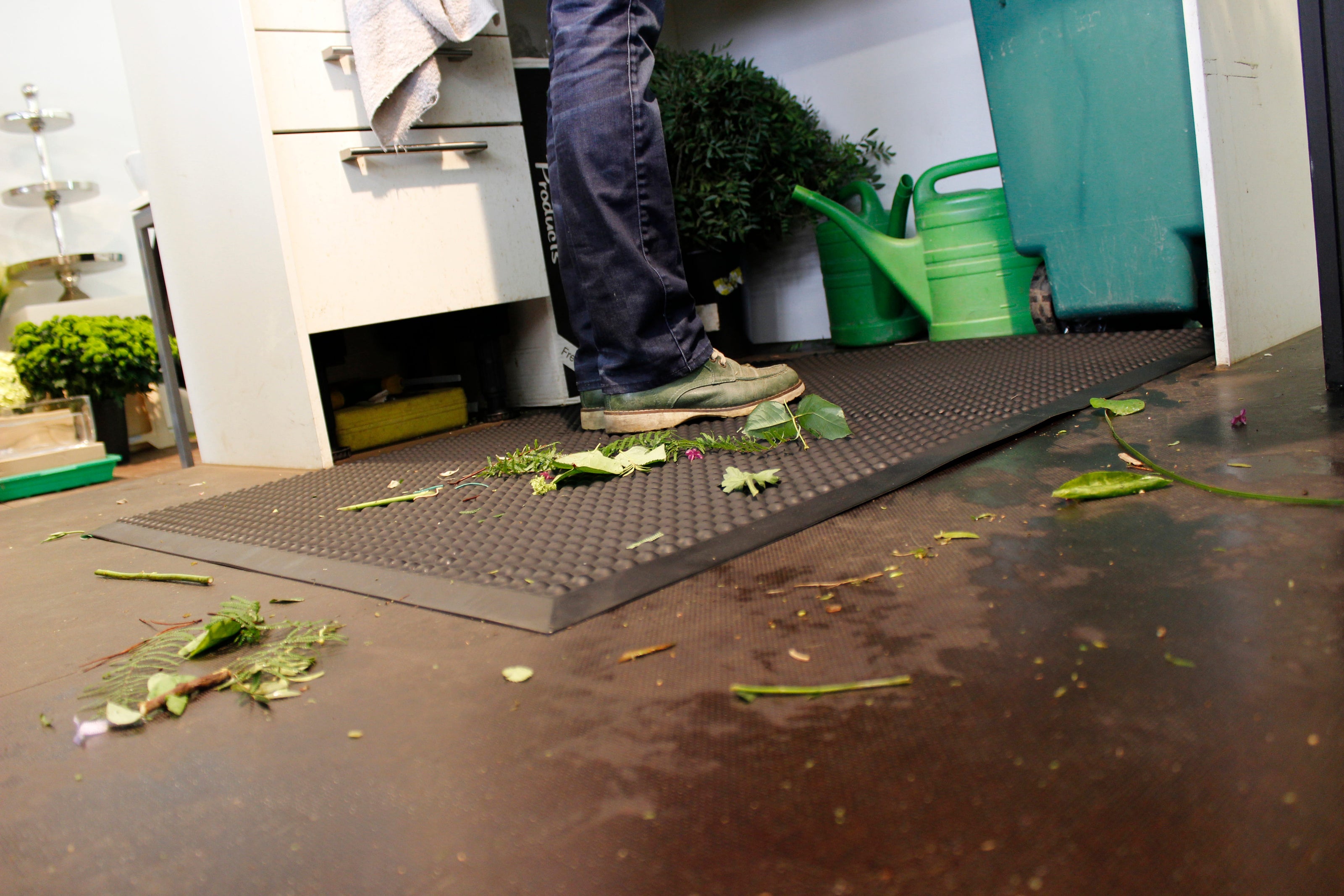 Image de contenu – Matted.fr